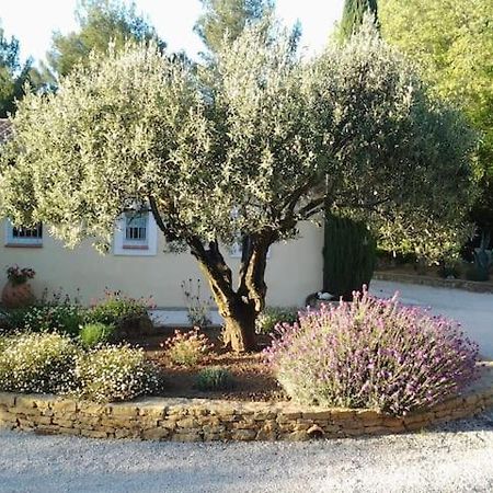 Вилла Maison Privee Au Calme Dans Mas Provencal Санари-сюр-Мер Экстерьер фото