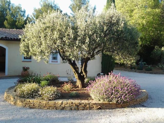 Вилла Maison Privee Au Calme Dans Mas Provencal Санари-сюр-Мер Экстерьер фото